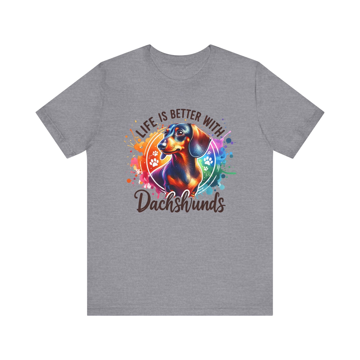 Adorable Dachshund Doxie Life With