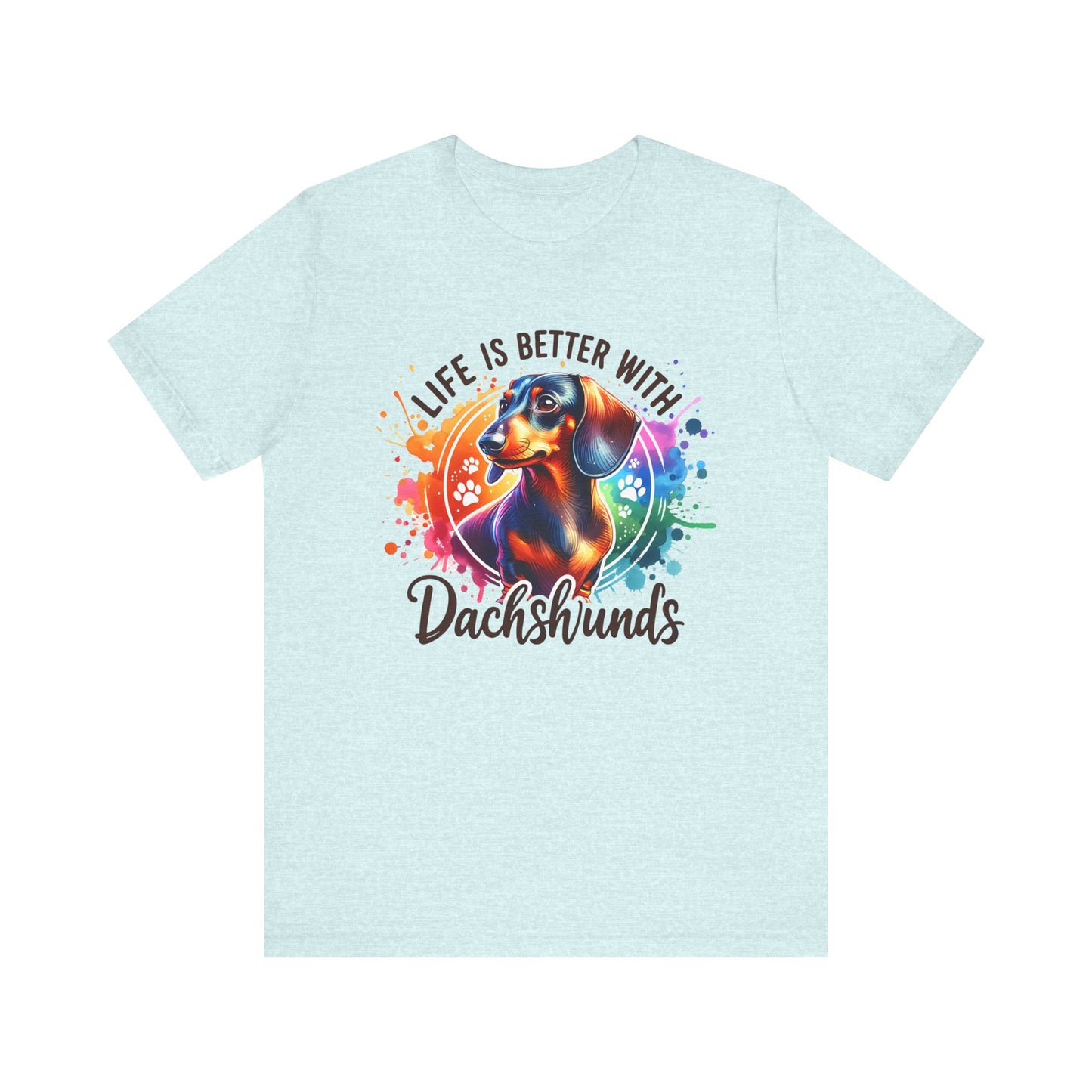 Adorable Dachshund Doxie Life With