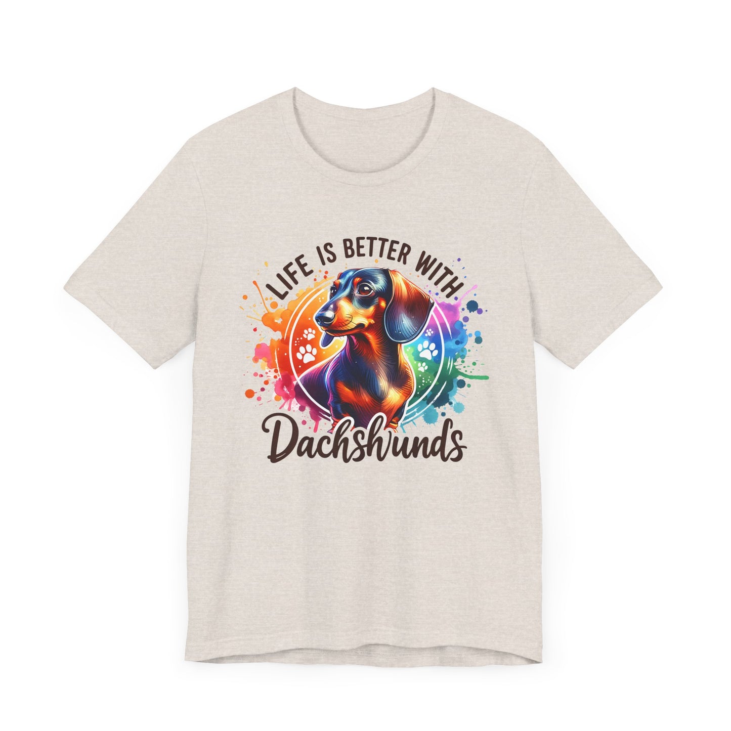 Adorable Dachshund Doxie Life With