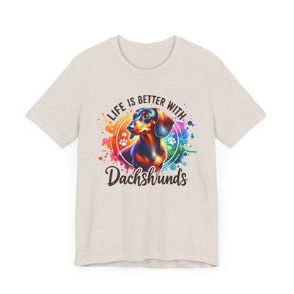 Adorable Dachshund Doxie Life With
