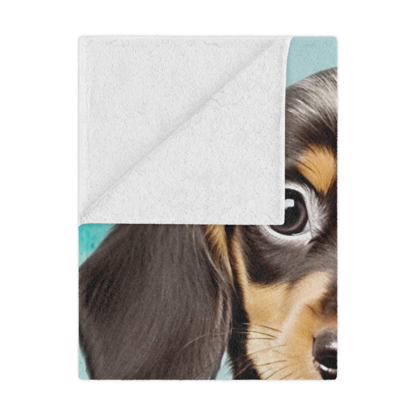 Spring Microfiber Blanket #6
