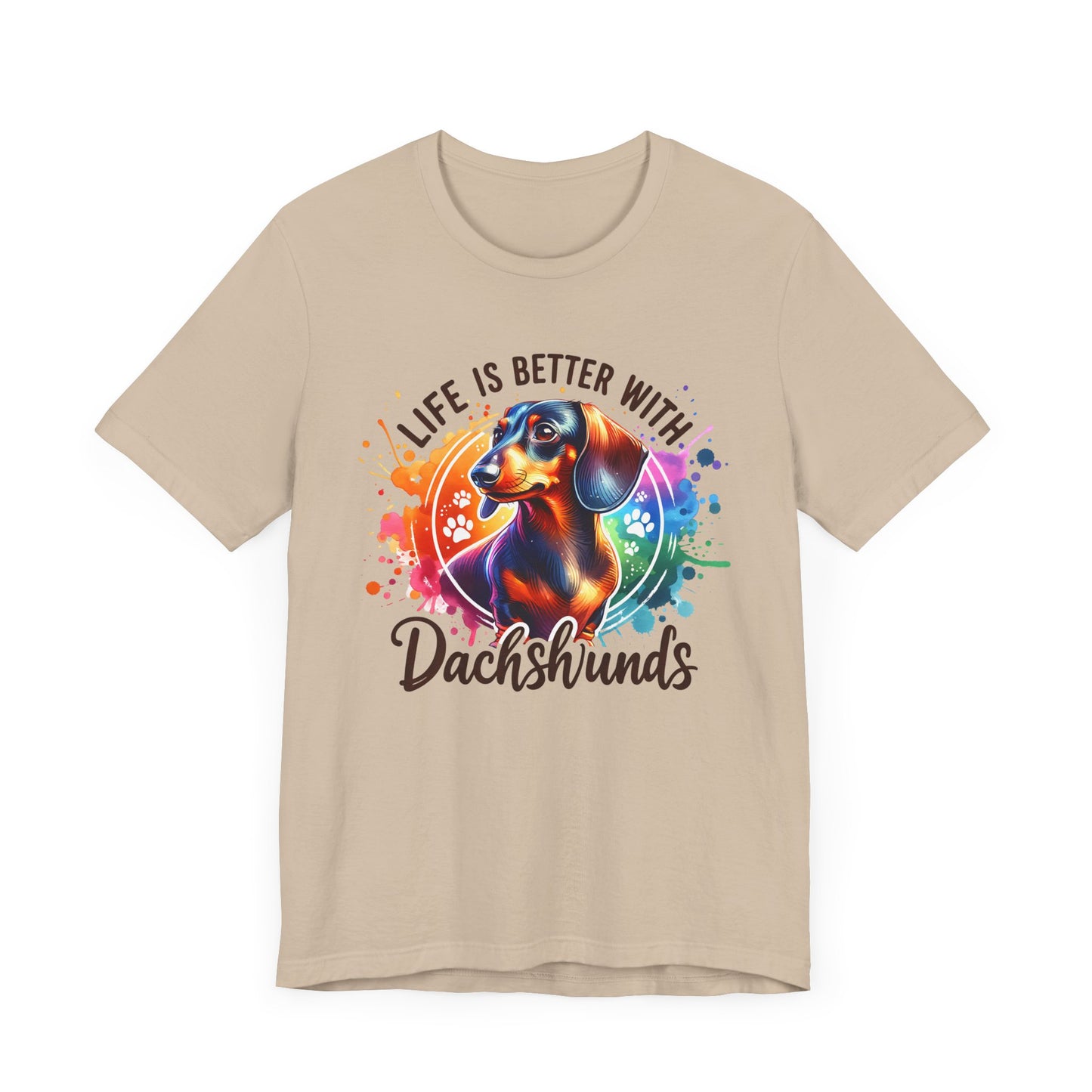 Adorable Dachshund Doxie Life With