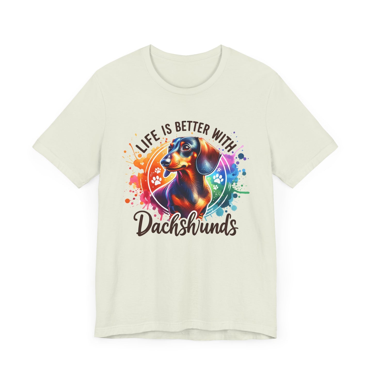 Adorable Dachshund Doxie Life With