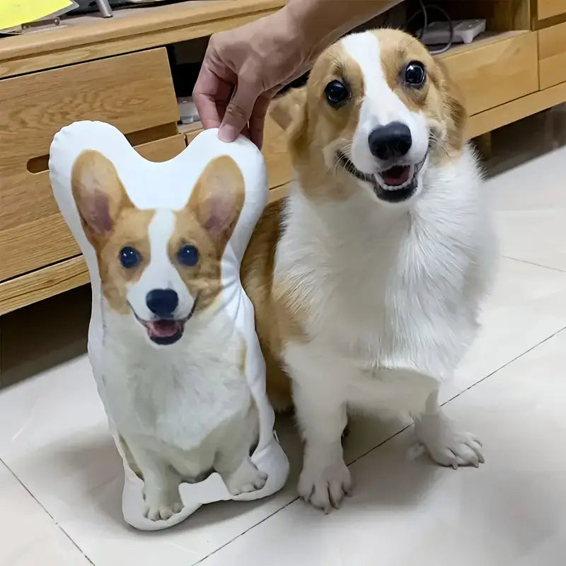 Custom Pet Pillows