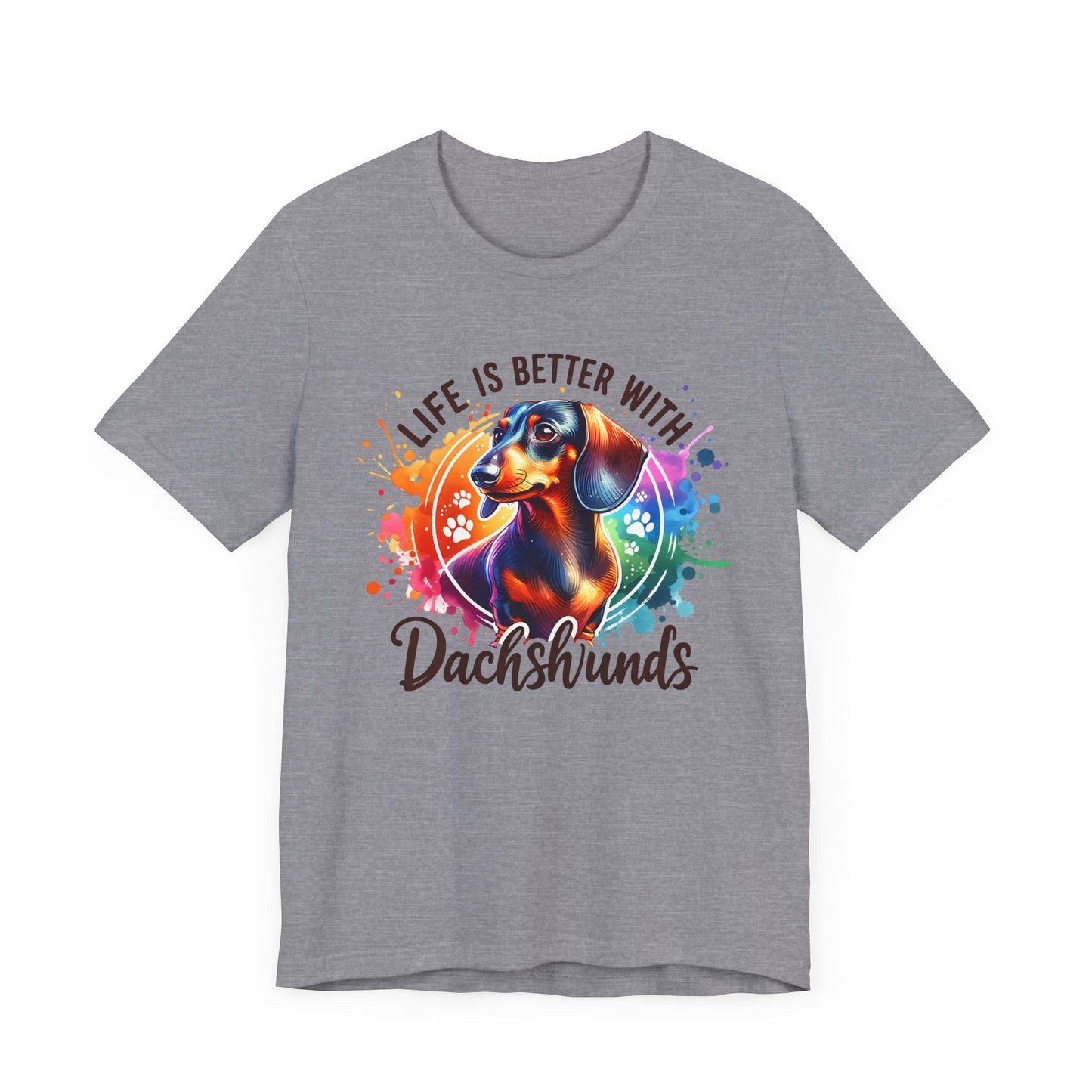 Adorable Dachshund Doxie Life With