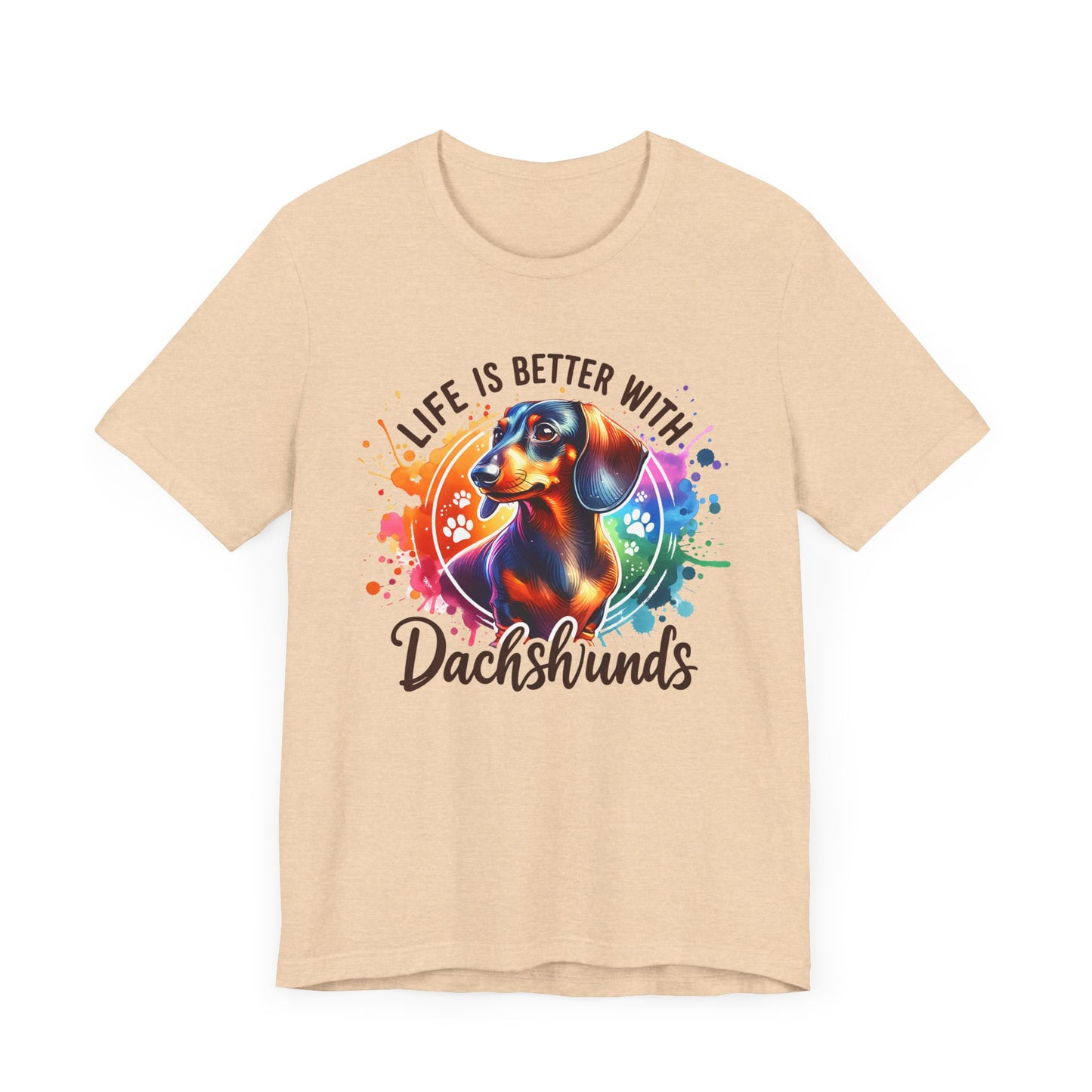 Adorable Dachshund Doxie Life With