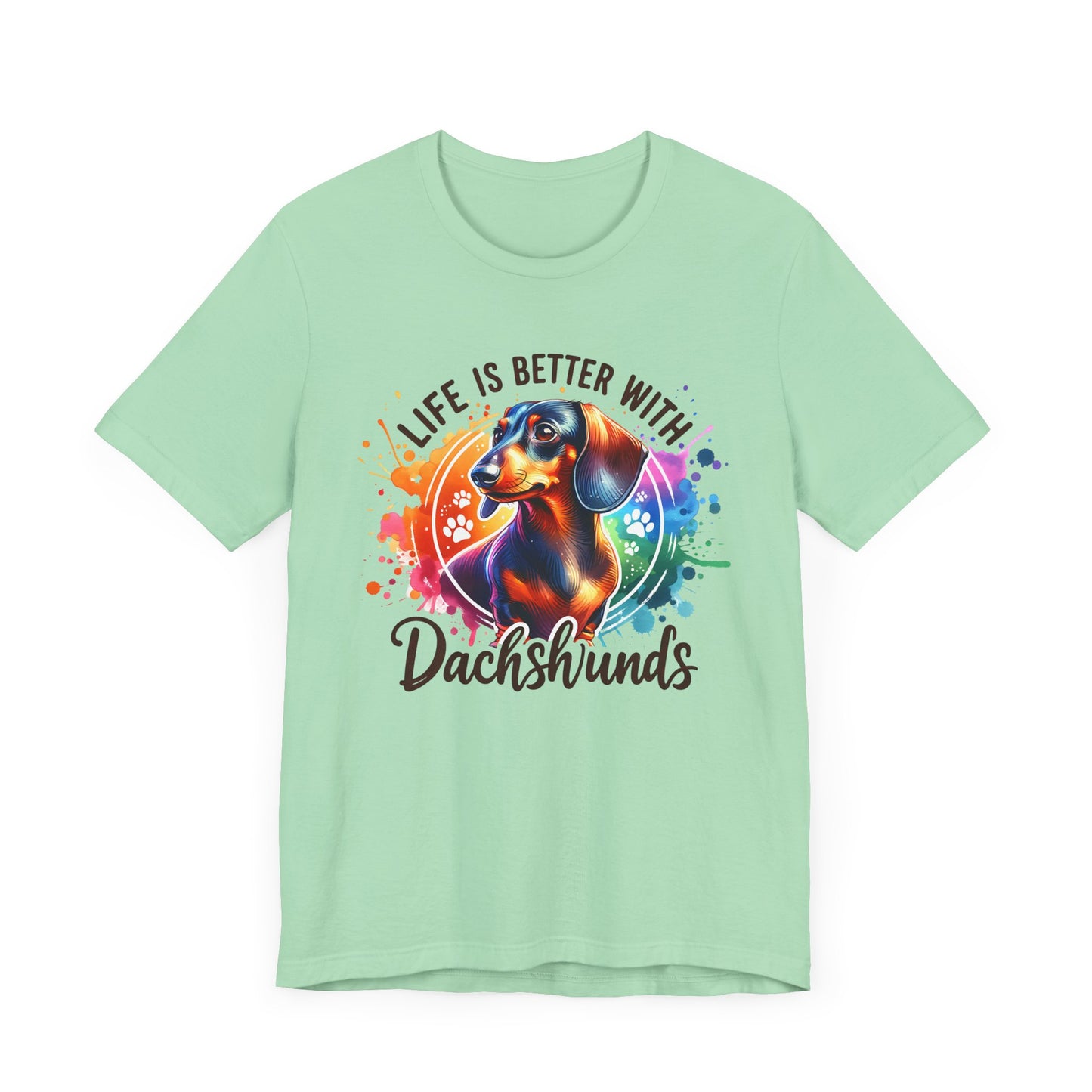 Adorable Dachshund Doxie Life With